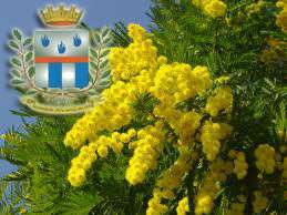 8 marzo 2014 Giornata internazionale della donna